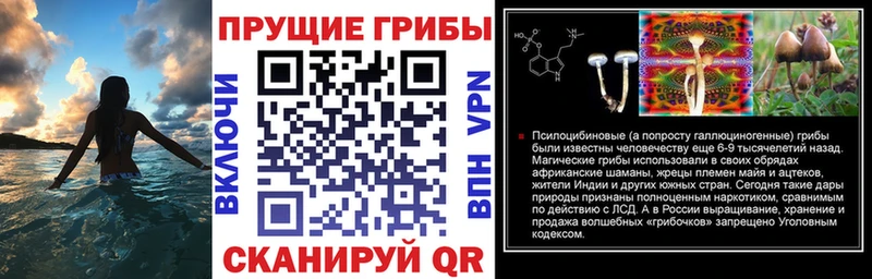 Галлюциногенные грибы Cubensis  Купить  Калтан 
